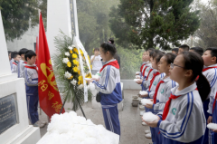 鲜花献英烈，家国又清明——辰阳明