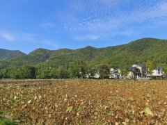 建工学院“绿茵守望”暑期社会实践