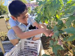 劳动创造幸福