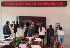 洞口县杨林镇中心学校开展“青蓝工