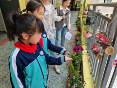 龙山县思源实验学校：千盆绿植扮靓