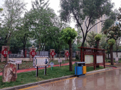 河南漯河：许慎文化进校园 传统文化
