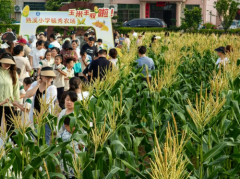田间课堂，粒粒精彩——武义县熟溪