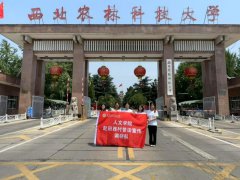 普法助力乡村振兴，西农学子赴田西